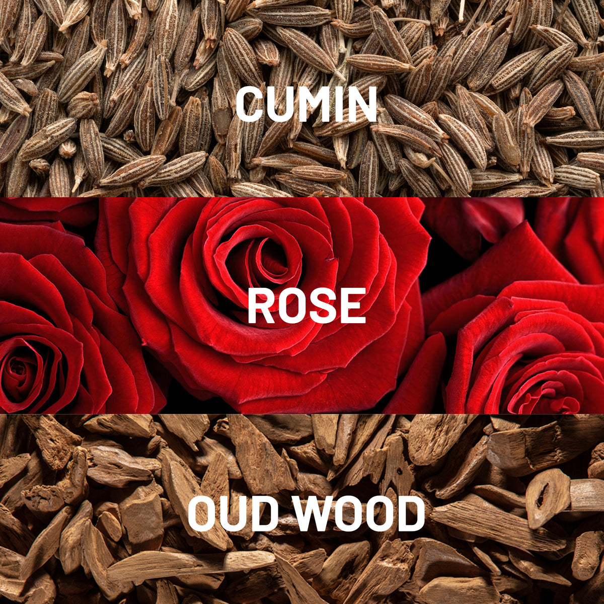 Desert Rose™