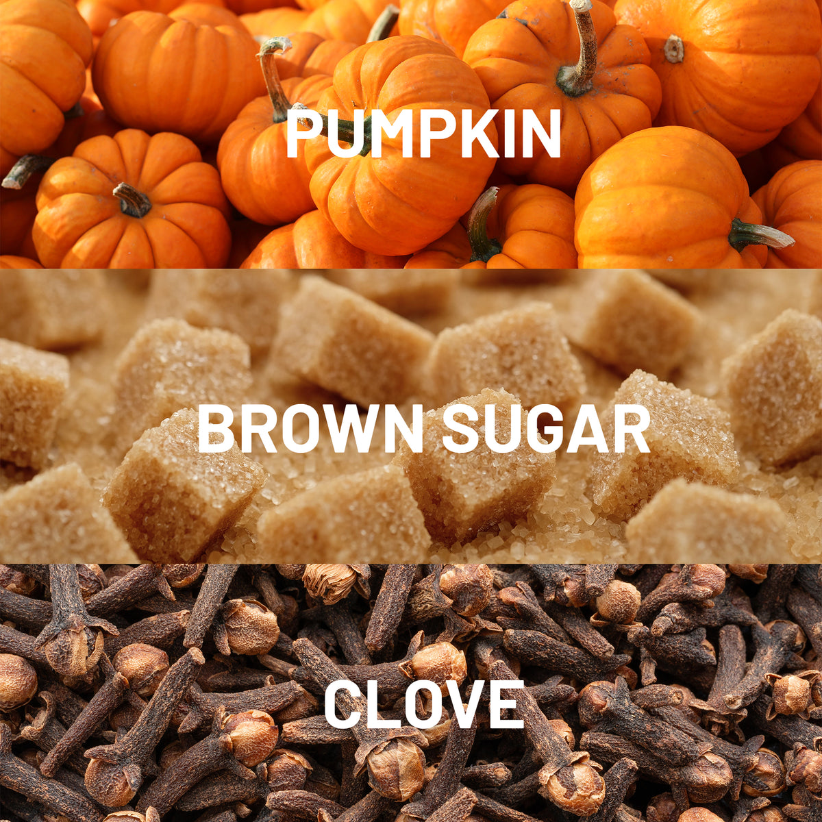 Farmhouse Spice