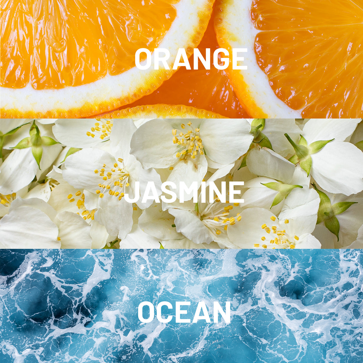 Paradise