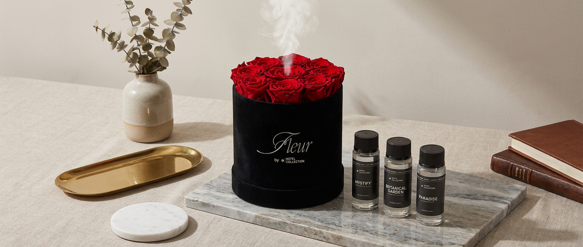 The Best Scent Diffuser for a Luxury Apartment - 2026 Comparison Guide