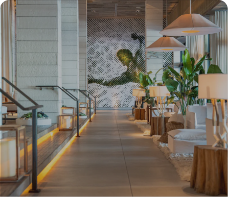 Hotel Collection