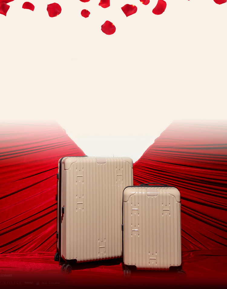 Travel & Accesories